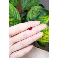 1.55 Ct. Ruby from Mozambique Life Style