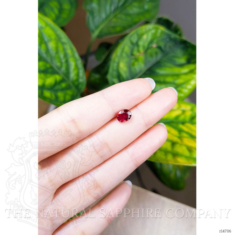 1.53 Ct. Ruby from Mozambique