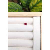 0.67 Ct. Ruby from Burma (Myanmar) Life Style