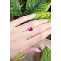 2.23 Ct. Ruby from Mozambique Life Style