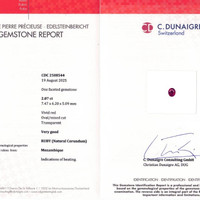 Jewelry Scan Report