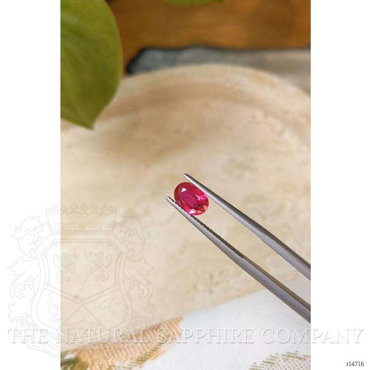 1.49 Ct. Ruby from Ceylon (Sri Lanka)