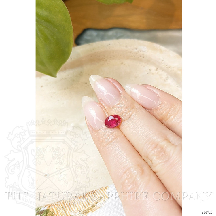 1.49 Ct. Ruby from Ceylon (Sri Lanka)
