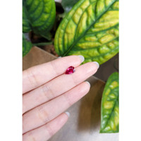 1.64 Ct. Ruby from Mozambique Life Style