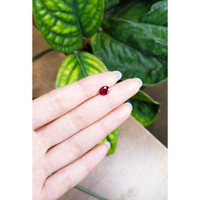 1.39 Ct. Ruby from Mozambique Life Style