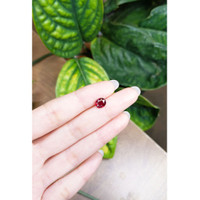 1.56 Ct. Ruby from Mozambique Life Style