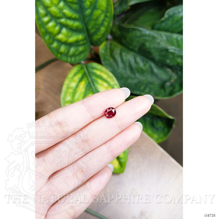 1.56 Ct. Ruby from Mozambique