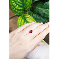 1.47 Ct. Ruby from Mozambique Life Style