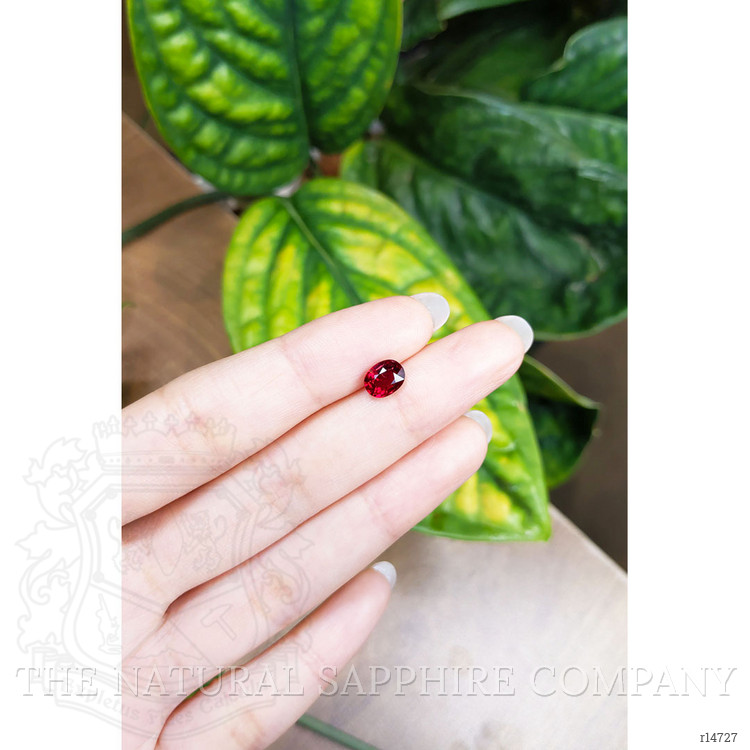 1.47 Ct. Ruby from Mozambique