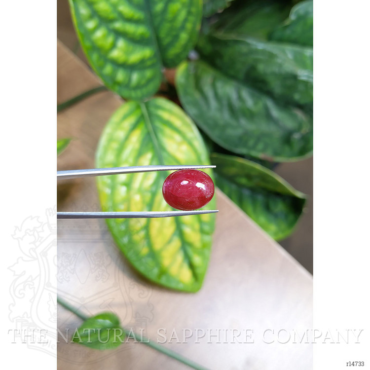 18.17 Ct. Cabochon Ruby from Burma (Myanmar)