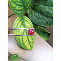 13.15 Ct. Cabochon Ruby from Burma (Myanmar) Life Style