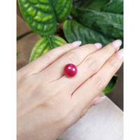 13.15 Ct. Cabochon Ruby from Burma (Myanmar) Life Style