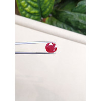 6.22 Ct. Ruby from Burma (Myanmar) Life Style