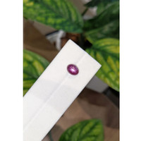 2.71 Ct. Star Ruby from Burma (Myanmar) Life Style