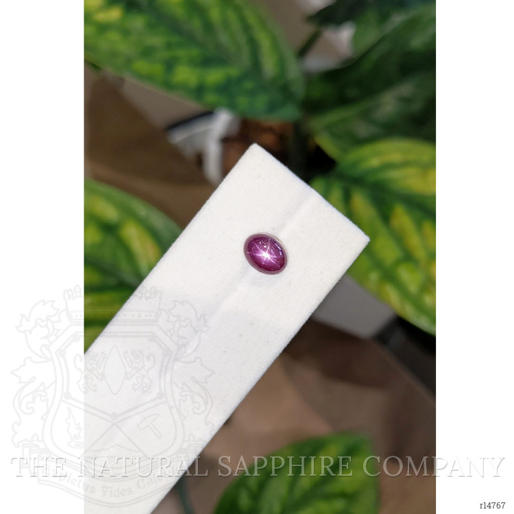2.71 Ct. Star Ruby from Burma (Myanmar)