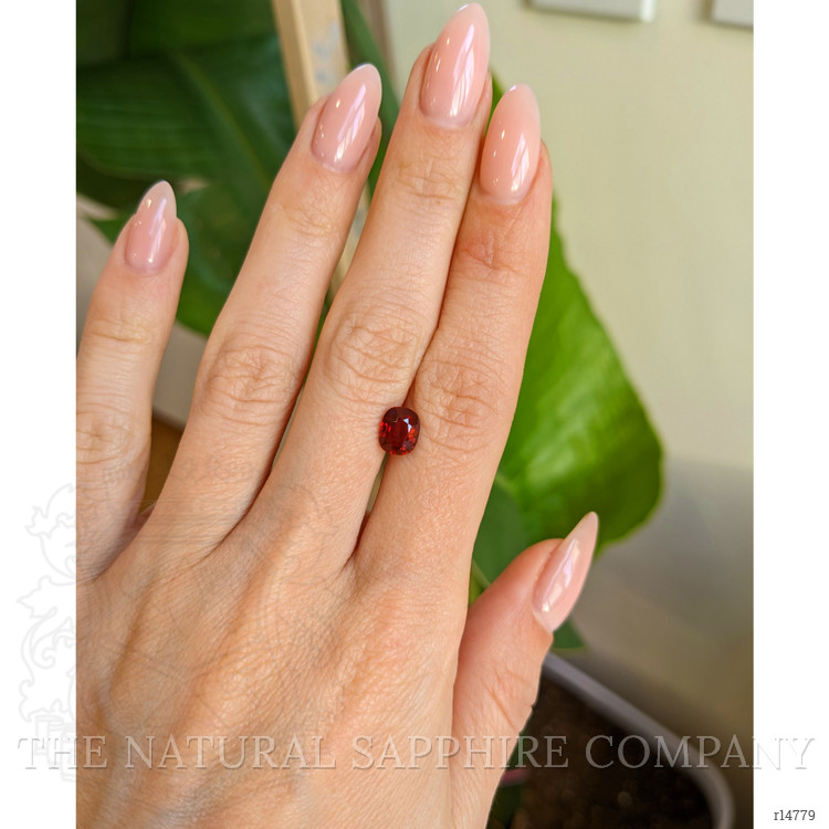 1.54 Ct. Ruby from Mozambique