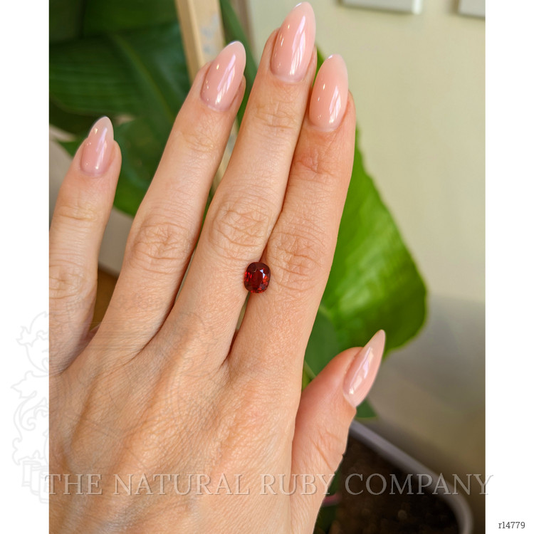 1.54 Ct. Ruby from Mozambique