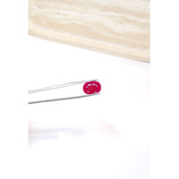 7.36 Ct. Ruby from Mozambique Life Style