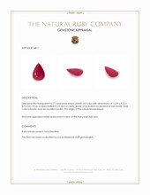 4.77 Ct. Pinkish Red Ruby from Mozambique Appraisal