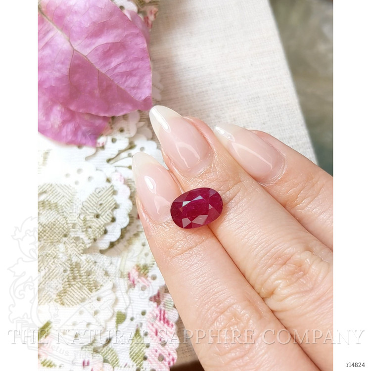 4.80 Ct. Ruby from Mozambique