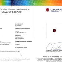 7.81 Ct. Star Ruby from Vietnam Scan Report