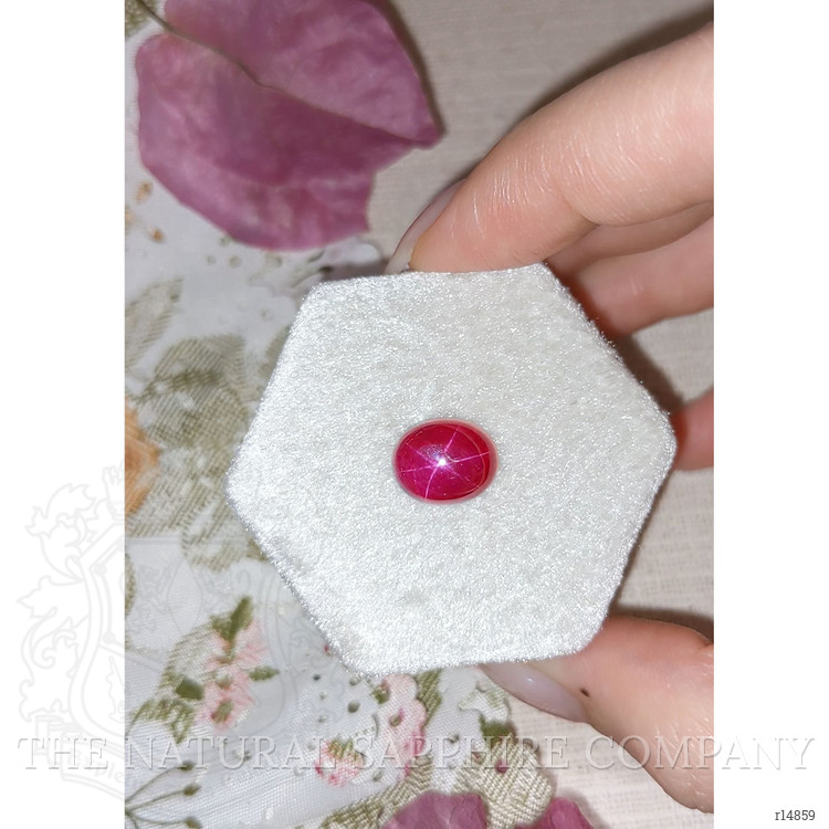 7.81 Ct. Star Ruby from Vietnam