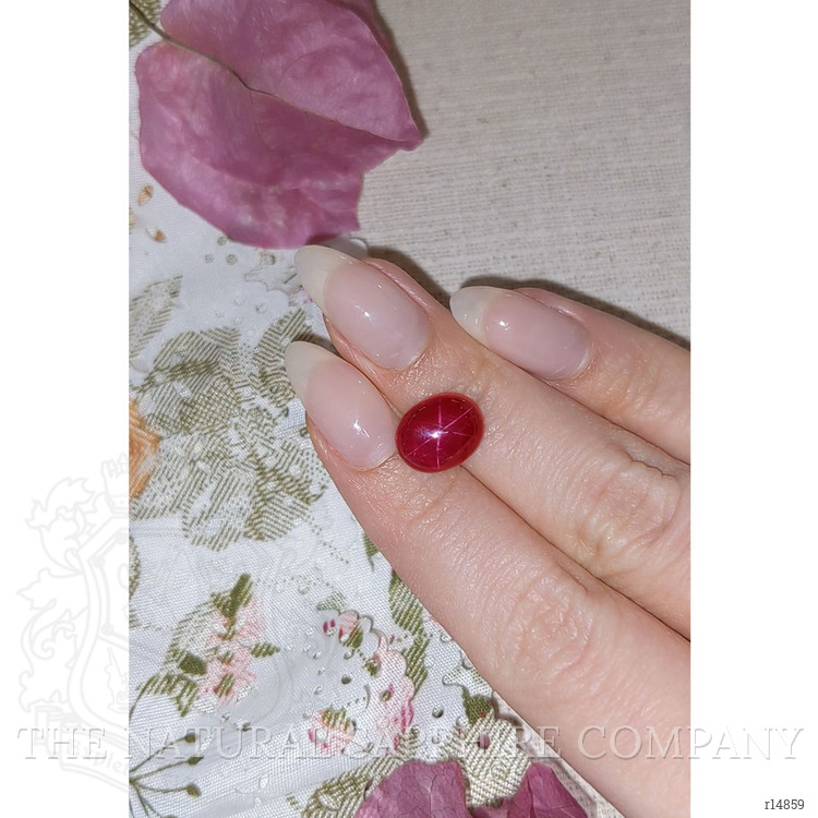 7.81 Ct. Star Ruby from Vietnam