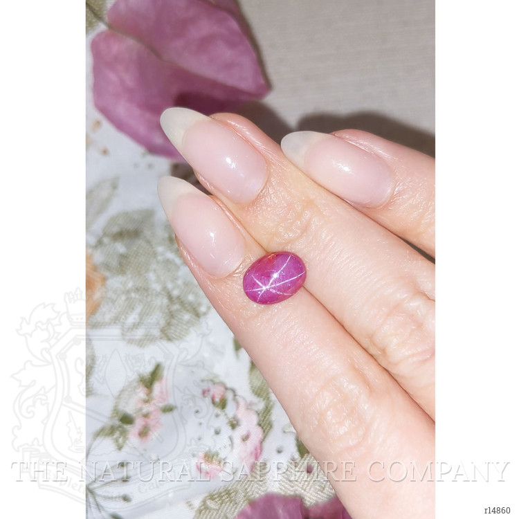 3.62 Ct. Star Ruby from Vietnam