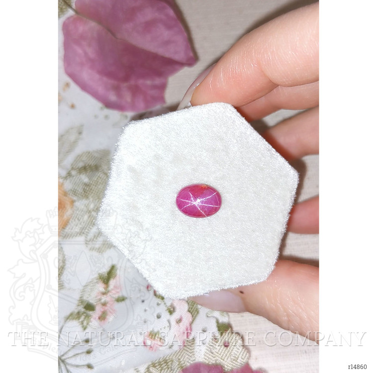 3.62 Ct. Star Ruby from Vietnam