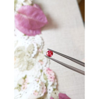 0.73 Ct. Ruby from Burma (Myanmar) Life Style