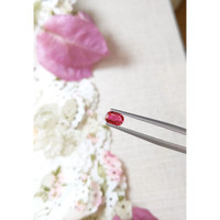 0.80 Ct. Ruby from Thailand Life Style