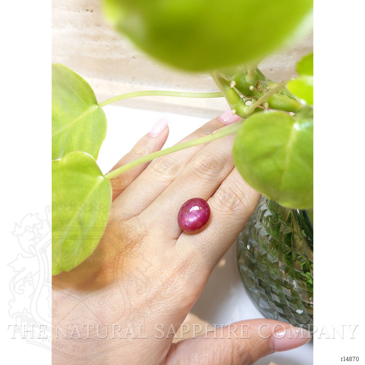 17.36 Ct. Star Ruby from Mozambique