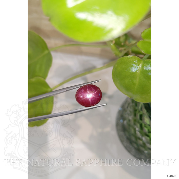 17.36 Ct. Star Ruby from Mozambique