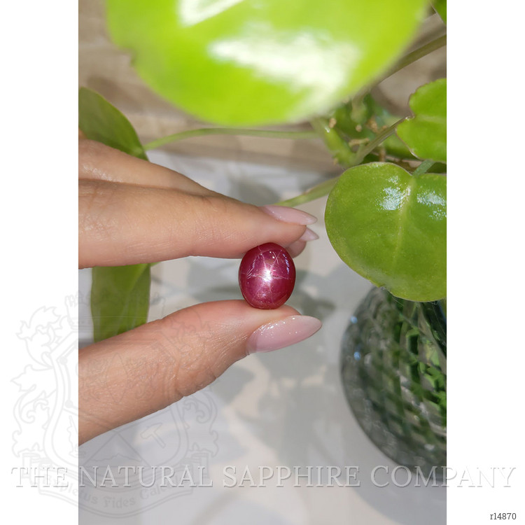 17.36 Ct. Star Ruby from Mozambique
