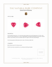 1.01 Ct. Cabochon Ruby from Mozambique Appraisal