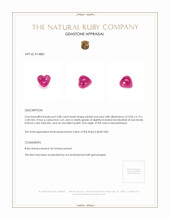 0.88 Ct. Pinkish Red Cabochon Ruby from Mozambique Appraisal