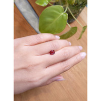 1.54 Ct. Ruby from Thailand Life Style