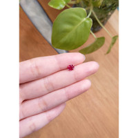 1.03 Ct. Ruby from Burma (Myanmar) Life Style