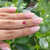 0.26 Ct. Ruby from Madagascar Life Style