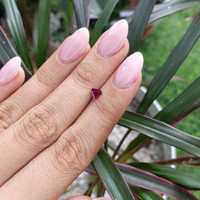 0.45 Ct. Ruby from Madagascar Life Style