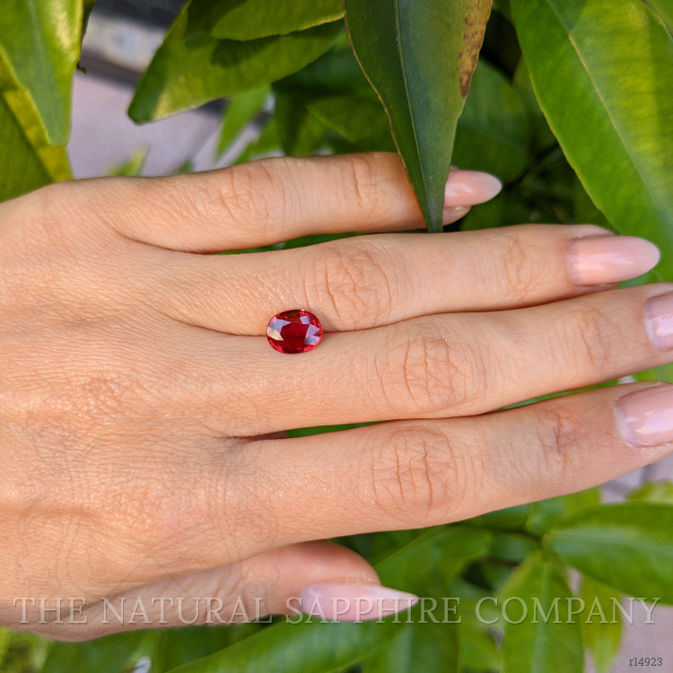 1.68 Ct. Ruby from Mozambique