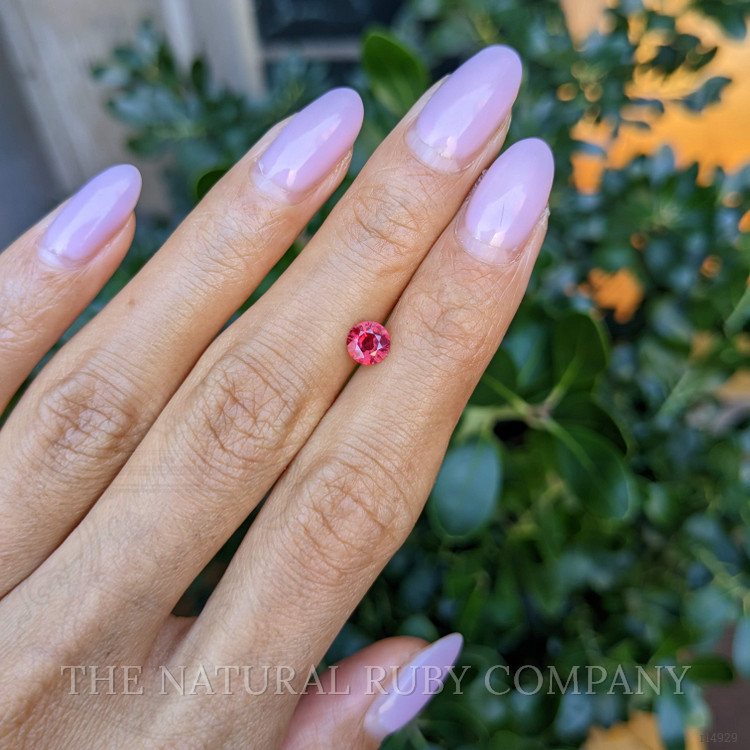 0.60 Ct. Ruby from Mozambique