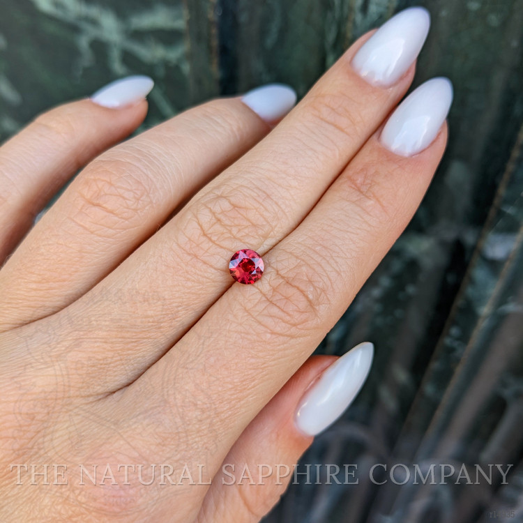 0.67 Ct. Ruby from Mozambique