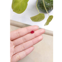 1.64 Ct. Ruby from Burma (Myanmar) Life Style