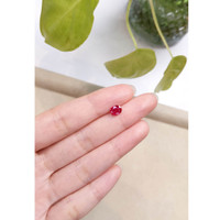 1.21 Ct. Ruby from Burma (Myanmar) Life Style