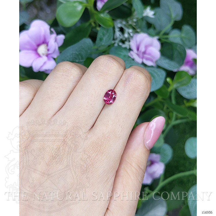 1.62 Ct. Ruby from Mozambique