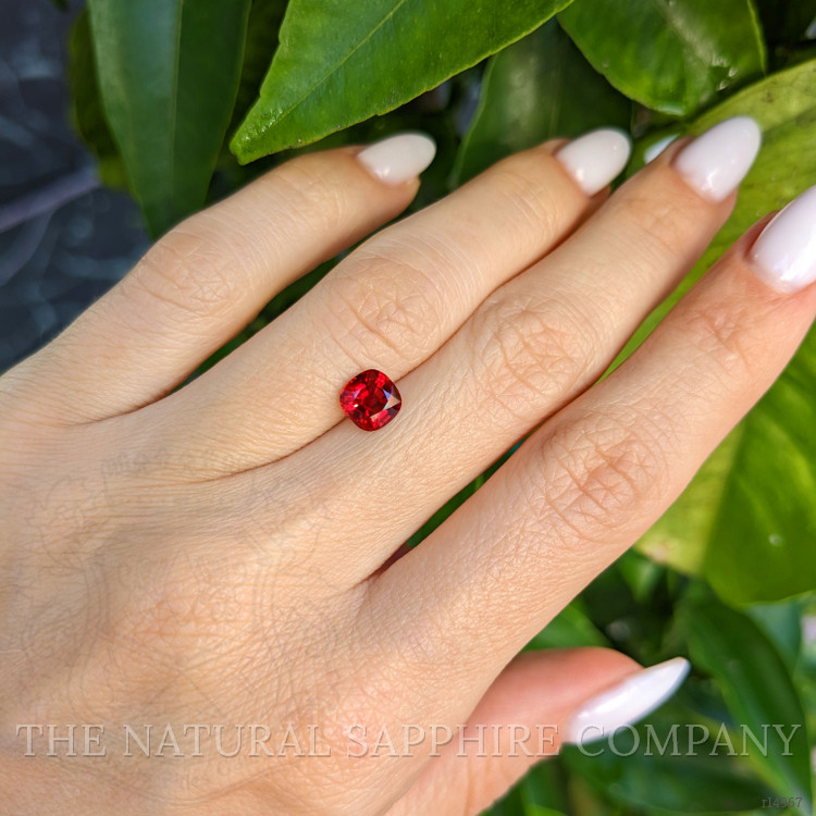 1.33 Ct. Ruby from Mozambique