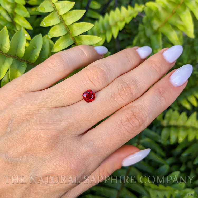 1.33 Ct. Ruby from Mozambique