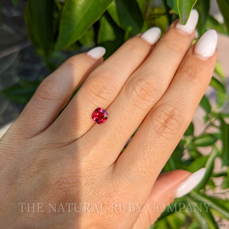 1.02 Ct. Ruby from Mozambique