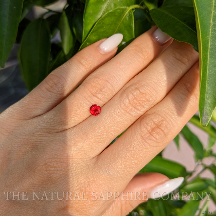 0.51 Ct. Ruby from Mozambique